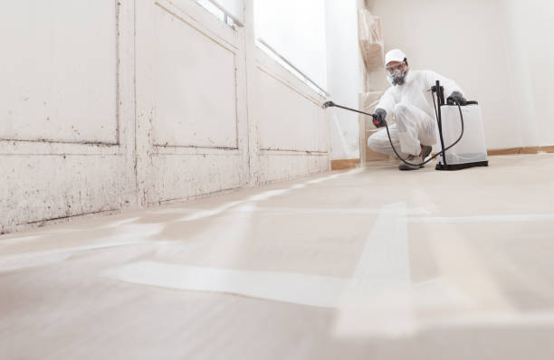 24/7 Emergency Mold Remediation experts in Weyers Cave, VA