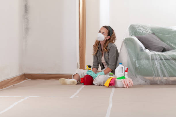 Reliable Mold Remediation contractor in Weyers Cave, VA by 24 Hour Mold Removal